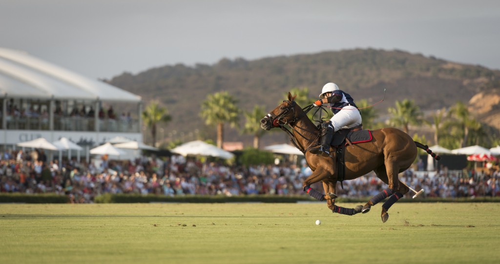 Sotogrande