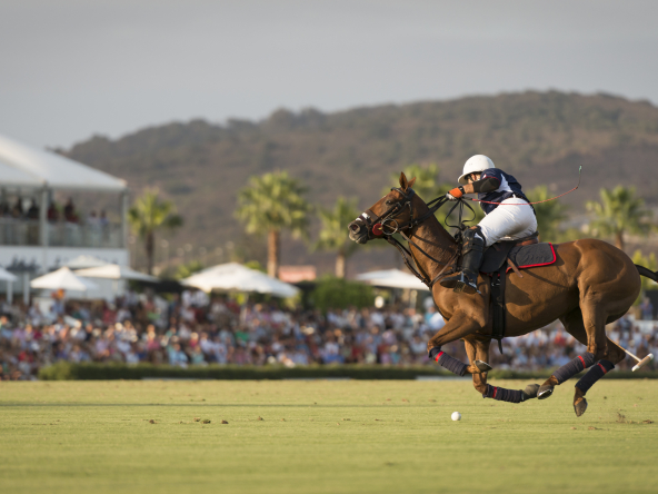 Sotogrande